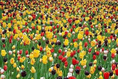 《偶像大师：星耀季节》上市预告片分享 新歌＆实机展示